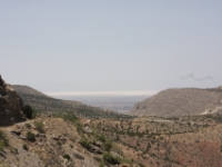 IMG 0002