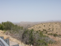 IMG 0004