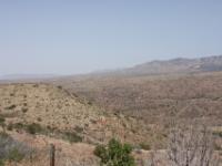IMG 0005