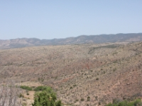 IMG 0006