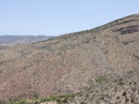 IMG 0007