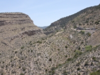 IMG 0008