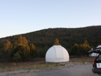 IMG 0137