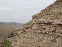 IMG 7098