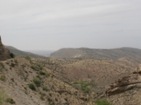 IMG 7099