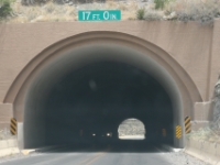IMG 7100