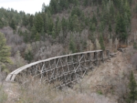 IMG 7101