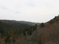 IMG 7103