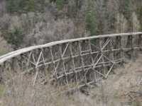 IMG 7104