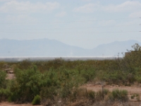 IMG 7109