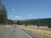 IMG 7119