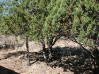 IMG 7140