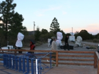 IMG 7253