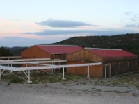 IMG 7254