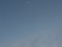 IMG 7257