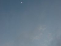 IMG 7258
