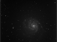 M101