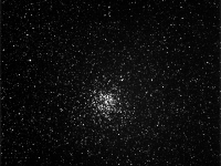 M11