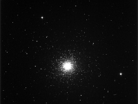 M13