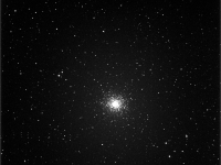 M14