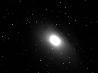 M31