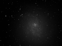 M33