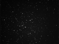 M41
