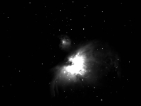 M42