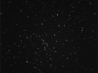 M48