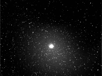 M54