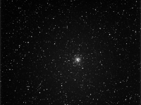 M56