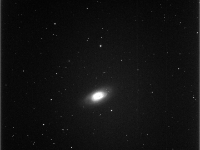 M64