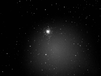 M79