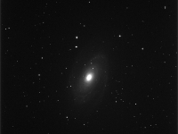 M81