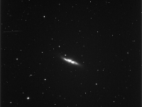 M82
