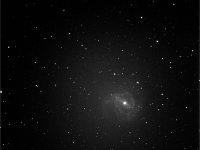 M83