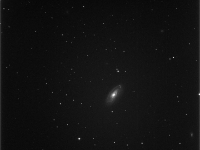 M88