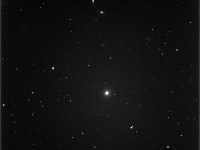 M89