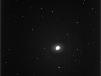 M94