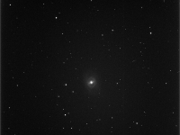M95