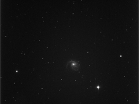 M99