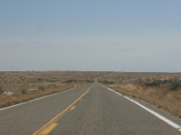 IMG 7145