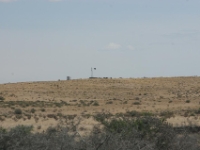 IMG 7146