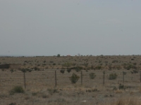 IMG 7148