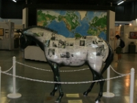 IMG 7167