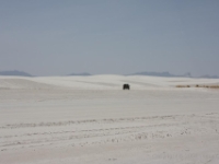 IMG 0013