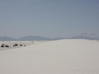 IMG 0017
