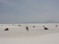 IMG 0019