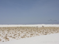 IMG 0023