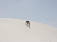 IMG 0038